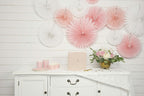 Blush Pink Rosettes Backdrop Set