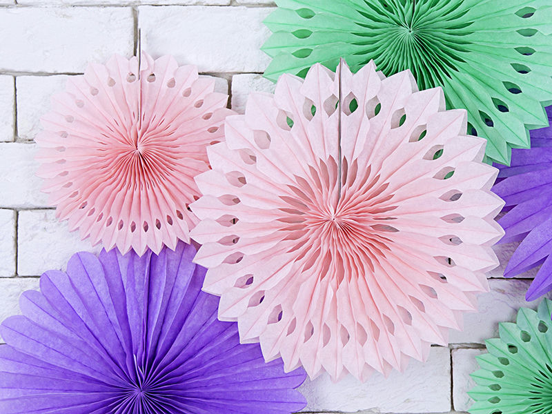 Blush Pink Rosettes Backdrop Set