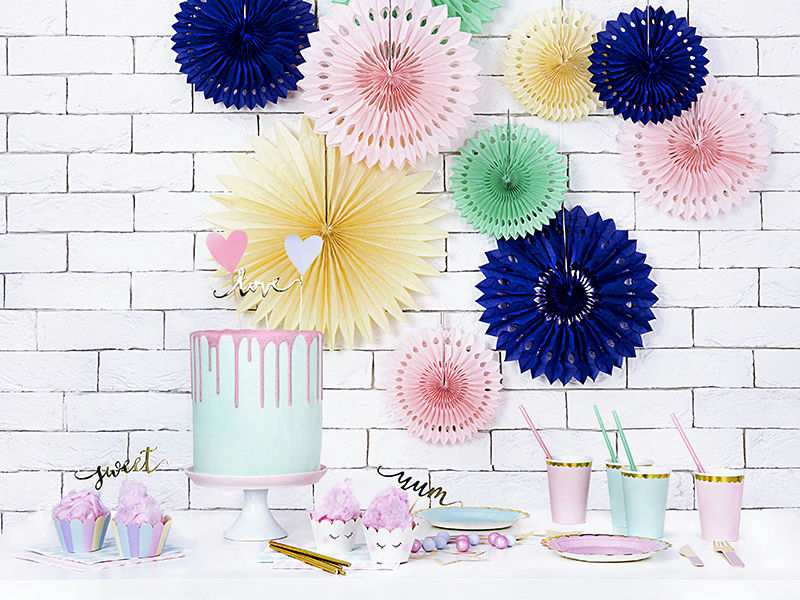 Blush Pink Rosettes Backdrop Set