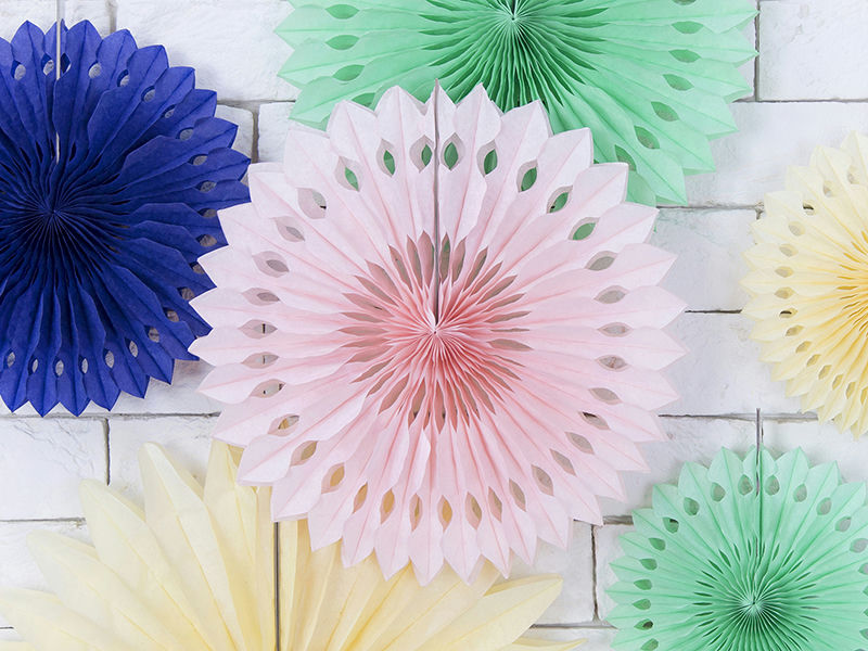 Blush Pink Rosettes Backdrop Set