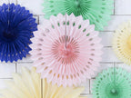 Blush Pink Rosettes Backdrop Set