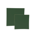 Green napkin simple square shape for birthday from Parte Haus party supply store in Bethesda Maryland