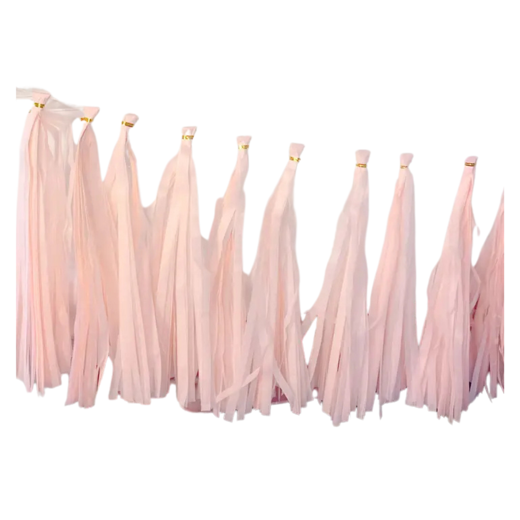 Blush pink tassel garland with flowing fringe birthday decoration from Parte Haus party supply store in Bethesda MD