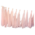 Blush pink tassel garland with flowing fringe birthday decoration from Parte Haus party supply store in Bethesda MD