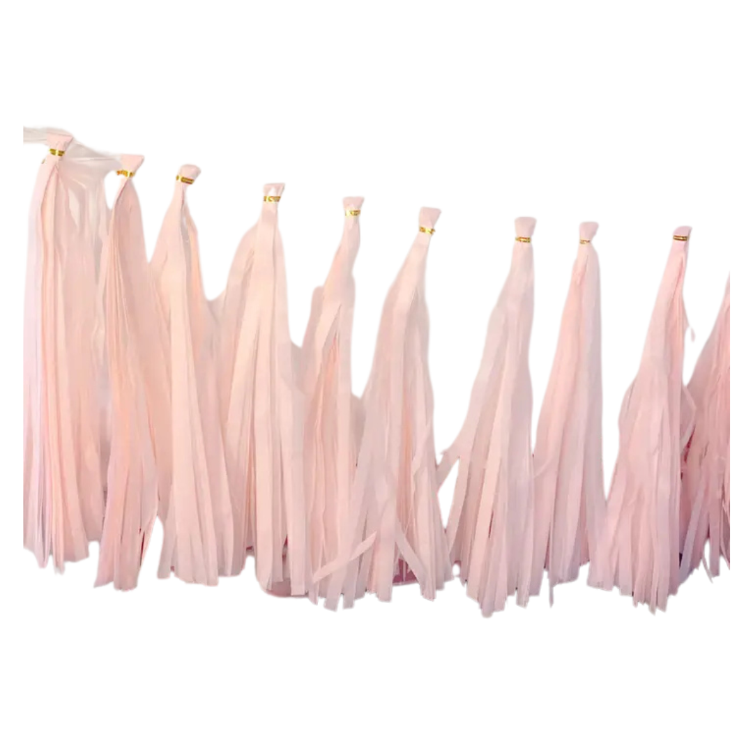 Blush pink tassel garland with flowing fringe birthday decoration from Parte Haus party supply store in Bethesda MD