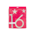Pink sweet sixteen birthday banner with white stars from Parte Haus party supply store in Bethesda MD