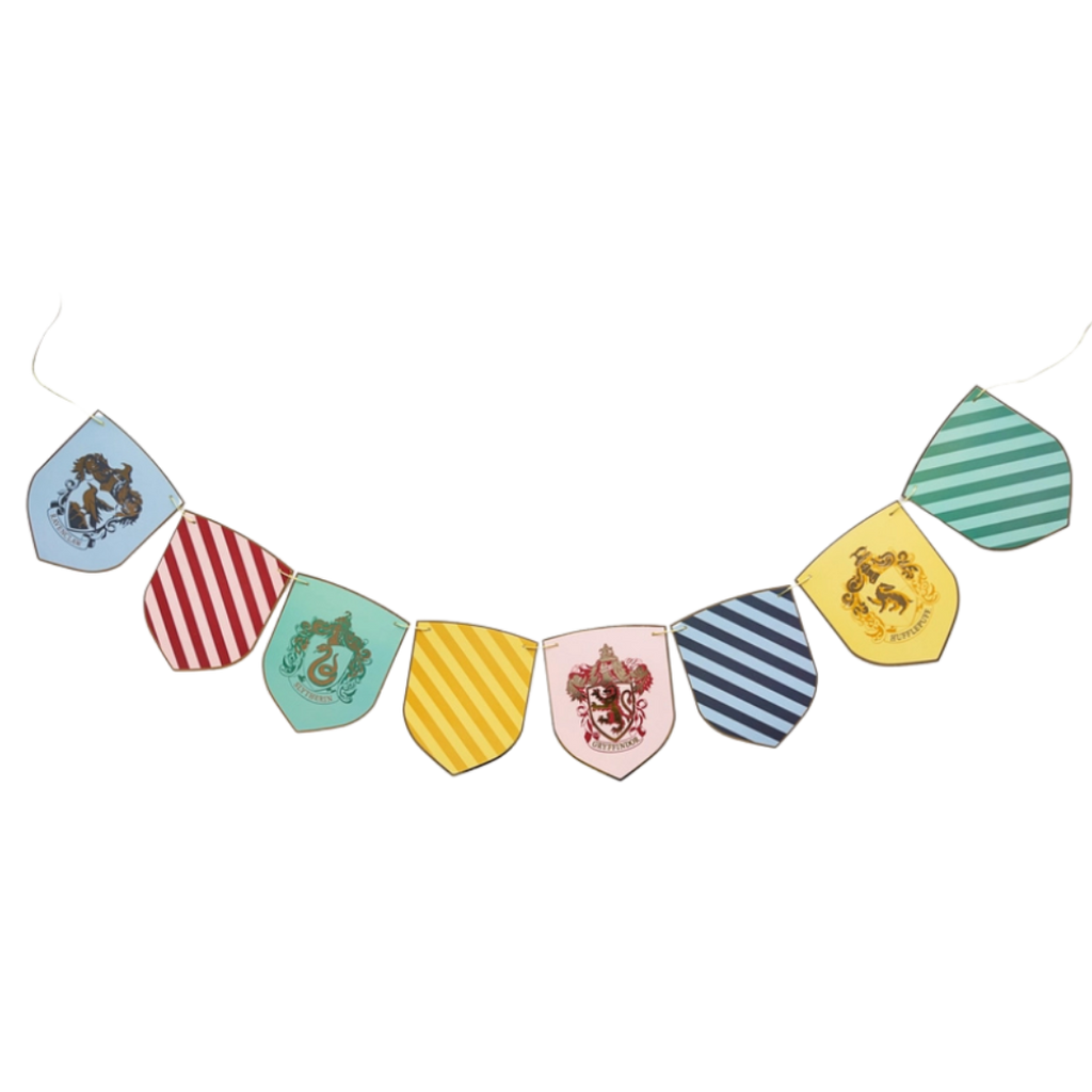 Multicolor banner garland with shield patterns magical birthday theme from Parte Haus party supply store in Bethesda MD