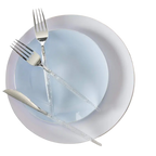 Ice blue silver plastic dinner plates with clear cutlery elegant event from Parte Haus party supply store in Bethesda MD