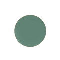 Sage green gold round plastic dinner plate elegant modern tableware from Parte Haus party supply store in Bethesda MD