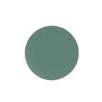 Sage green gold round plastic dinner plate elegant modern tableware from Parte Haus party supply store in Bethesda MD