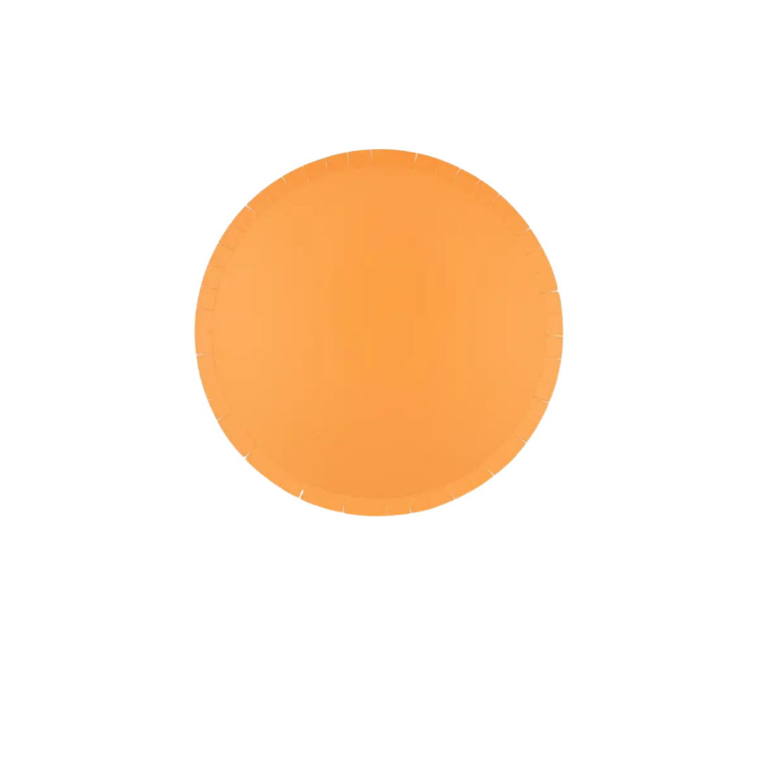 Apricot dinner plate with round shape and smooth surface birthday from Parte Haus party supply store in Bethesda MD