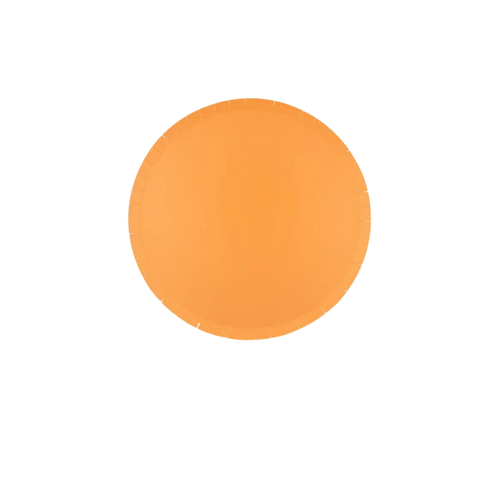 Apricot dinner plate with round shape and smooth surface birthday from Parte Haus party supply store in Bethesda MD
