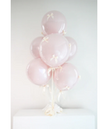 Soft Rose Romance