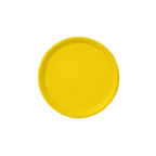 Sunshine yellow large paper plate round design for birthday from Parte Haus party supply store in Bethesda MD