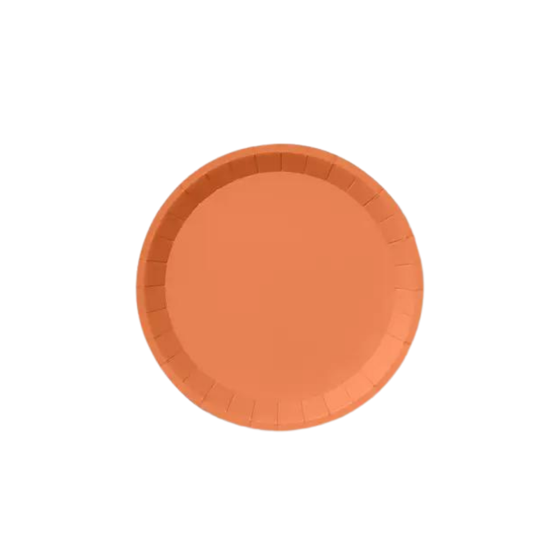 tropical coral small paper plate round solid color for summer party from Parte Haus party supply store in Bethesda MD