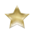Gold star plate shiny metallic for celebration from Parte Haus party supply store in Bethesda Maryland