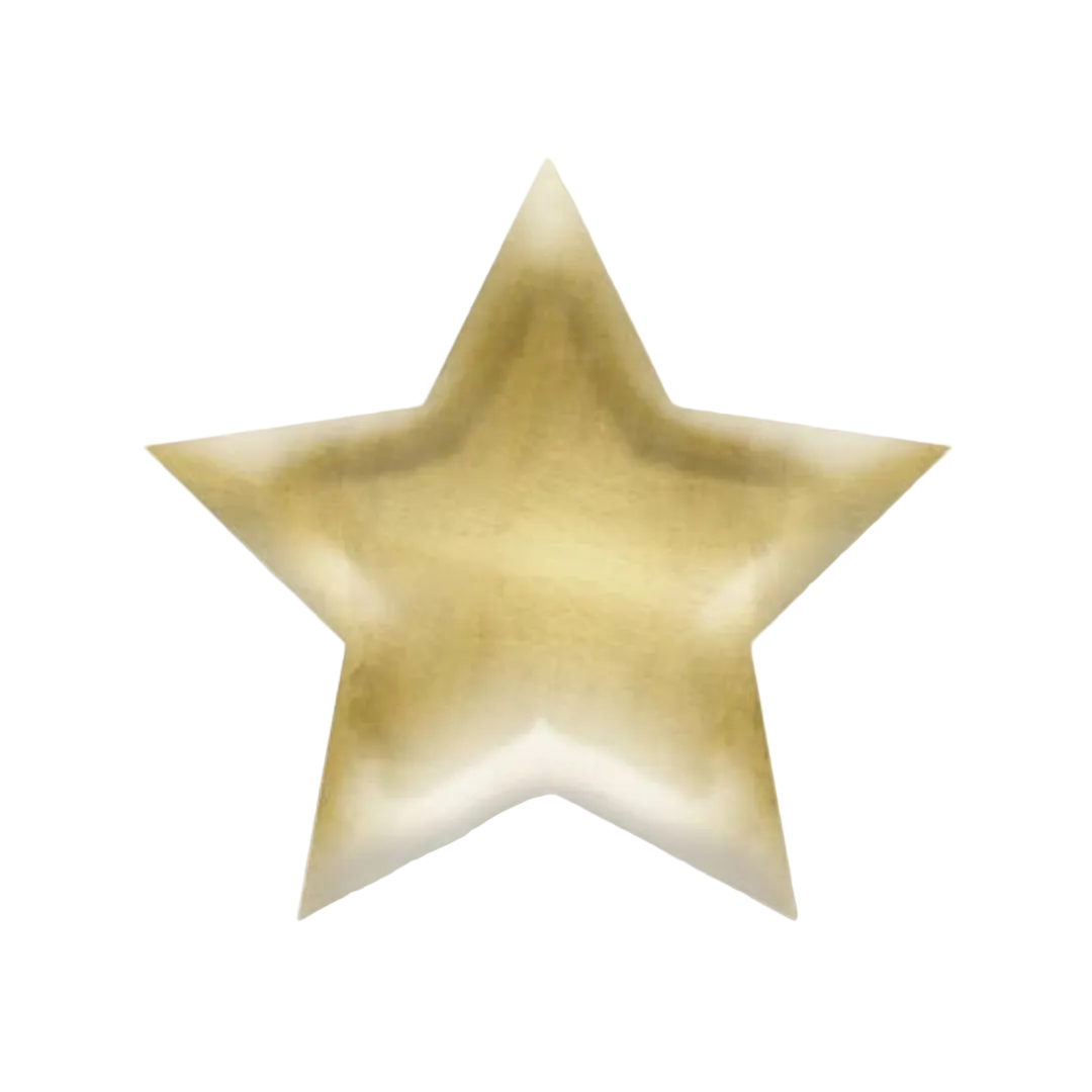 Gold star plate shiny metallic for celebration from Parte Haus party supply store in Bethesda Maryland