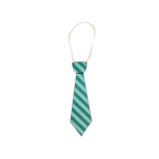 green striped tie necklace accessory for birthday theme from Parte Haus party supply store in Bethesda Maryland