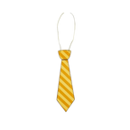 yellow striped necktie cutout photo prop for birthday celebration from Parte Haus party supply store in Bethesda MD