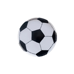 Black and white soccer ball paper plate for sports birthday party from Parte Haus party supply store in Bethesda MD.