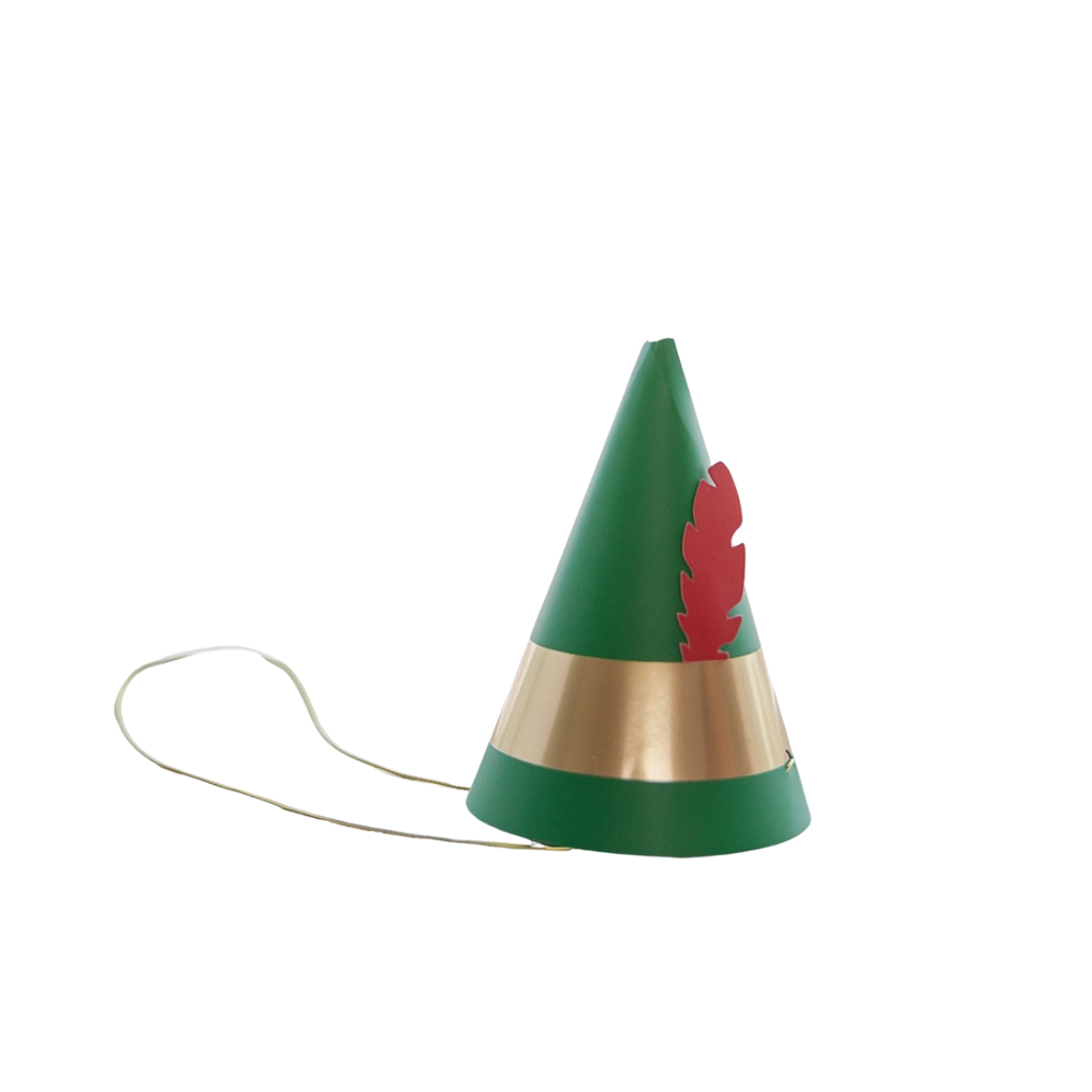 Green and gold cone hat with red feather decorative band for birthday from Parte Haus party supply store in Bethesda Maryland