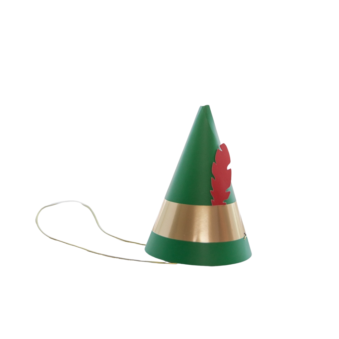 Green and gold cone hat with red feather decorative band for birthday from Parte Haus party supply store in Bethesda Maryland