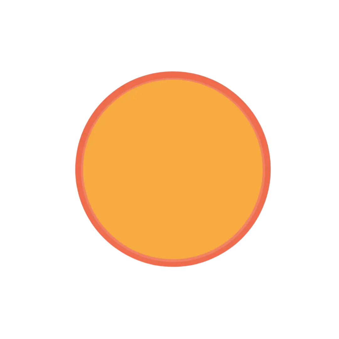 Orange round plate with red rim for birthday from Parte Haus party supply store in Bethesda Maryland