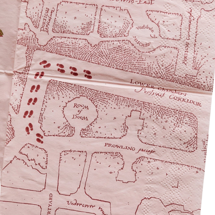 Multicolor napkin with vintage map and footprints magical birthday theme from Parte Haus party supply store in Bethesda MD
