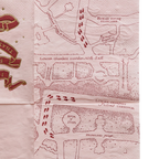 pink map themed napkin with footprints and gold stars for wizard birthday from Parte Haus party supply store in Bethesda MD