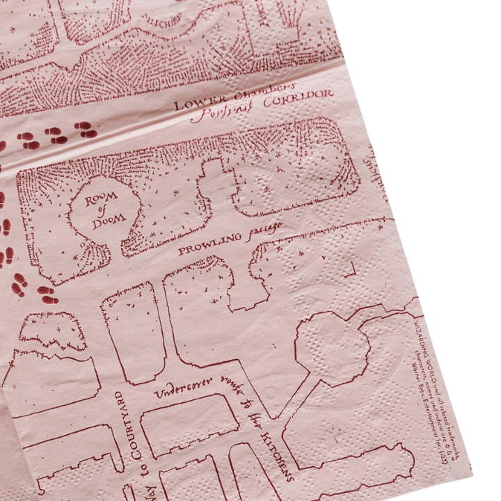 Multicolor napkin with whimsical party map design for birthday from Parte Haus party supply store in Bethesda MD