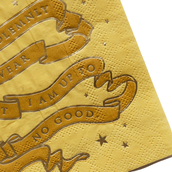 Yellow napkin with metallic gold script banner stars Harry Potter themed from Parte Haus party supply store in Bethesda Maryland