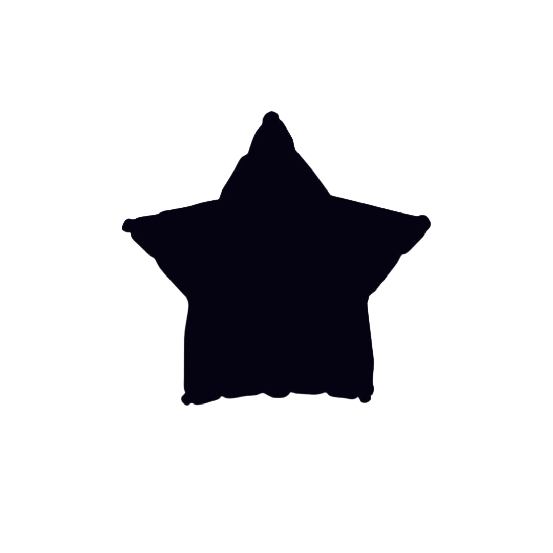 black star foil balloon shiny and shaped for birthday celebrations from Parte Haus party supply store in Bethesda MD