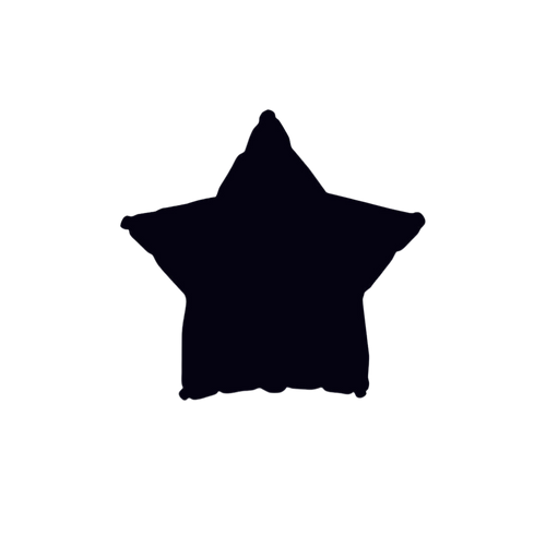 black star foil balloon shiny and shaped for birthday celebrations from Parte Haus party supply store in Bethesda MD