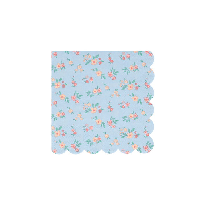 {custom.color} {custom.shape} {custom.type} with {custom.theme} {custom.characters} for {custom.occasion} {custom.holiday} – from Parte Haus party supply store in Bethesda, MD.