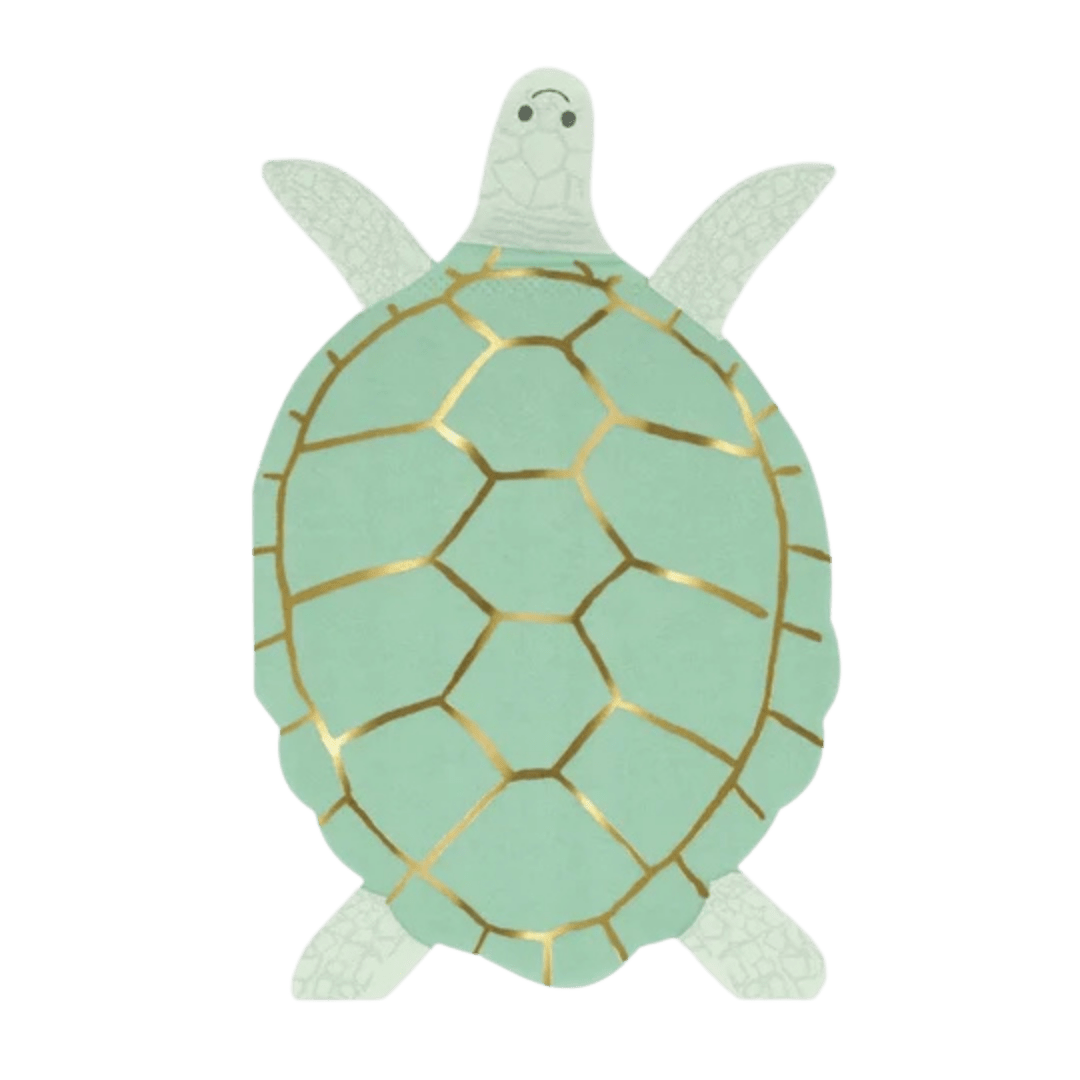 Mint green turtle shaped plate with gold shell accents ocean theme from Parte Haus party supply store in Bethesda MD.