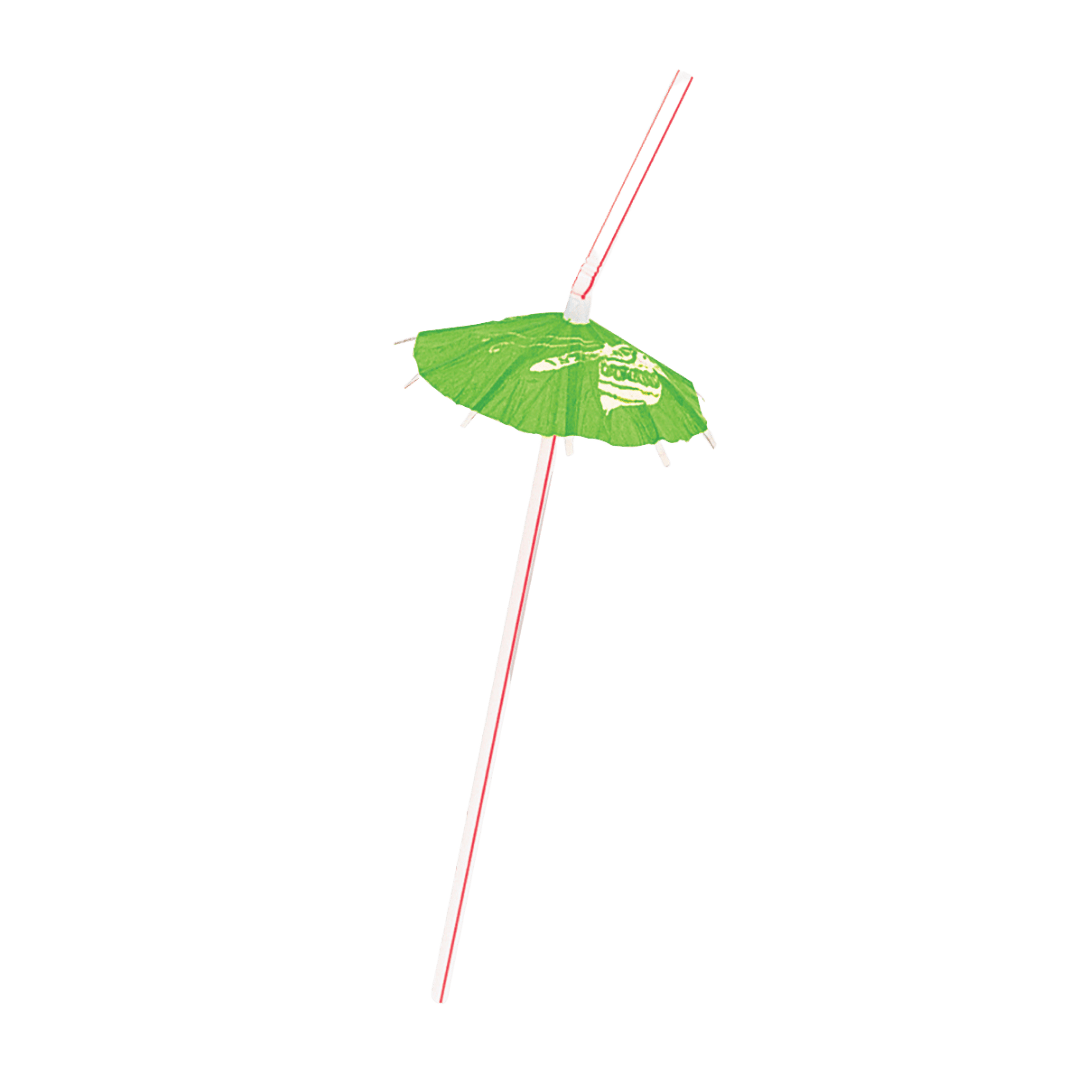 Green paper umbrella drinking straw tropical birthday theme from Parte Haus party supply store in Bethesda MD.