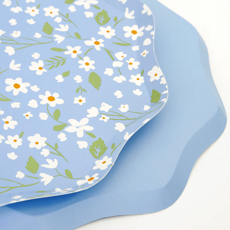 Blue floral plates spring celebration theme from Parte Haus party supply store in Bethesda Maryland