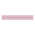 red white blue striped banner horizontal Fourth of July decor from Parte Haus party supply store in Bethesda MD