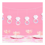 Iridescent diamond ring garland and coupe glasses for bridal shower from Parte Haus party supply store in Bethesda Maryland