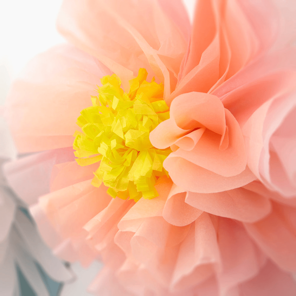 Pink and yellow tissue paper flower decoration for spring from Parte Haus party supply store in Bethesda, Maryland