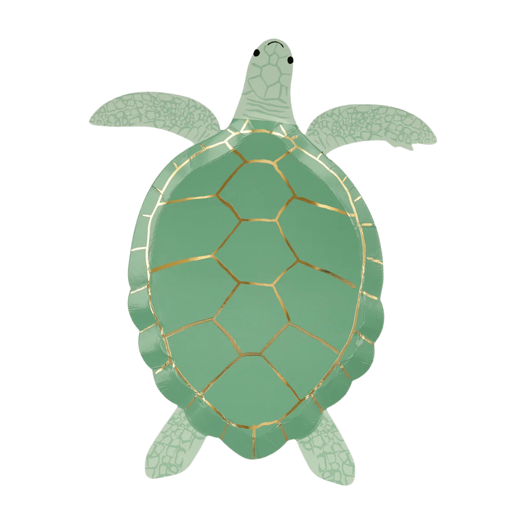 Green turtle shaped decorative plate for ocean theme from Parte Haus party supply store in Bethesda MD