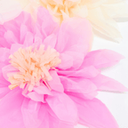 Pink and cream tissue paper flower decoration floral birthday from Parte Haus party supply store in Bethesda Maryland