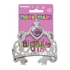 Silver and pink birthday girl tiara crown for birthday theme from Parte Haus party supply store in Bethesda MD