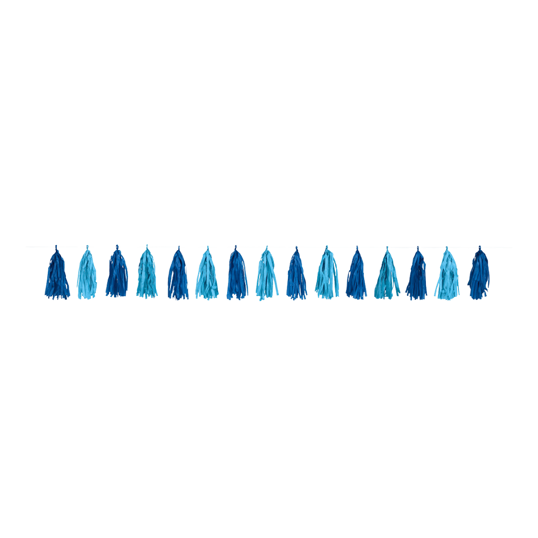 Blue tassel garland tissue banner for birthday or baby shower from Parte Haus party supply store in Bethesda MD