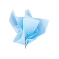 Light blue tissue paper decorative accent for birthday from Parte Haus party supply store in Bethesda MD