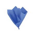 Blue napkin folded decoratively for birthday theme from Parte Haus party supply store in Bethesda Maryland