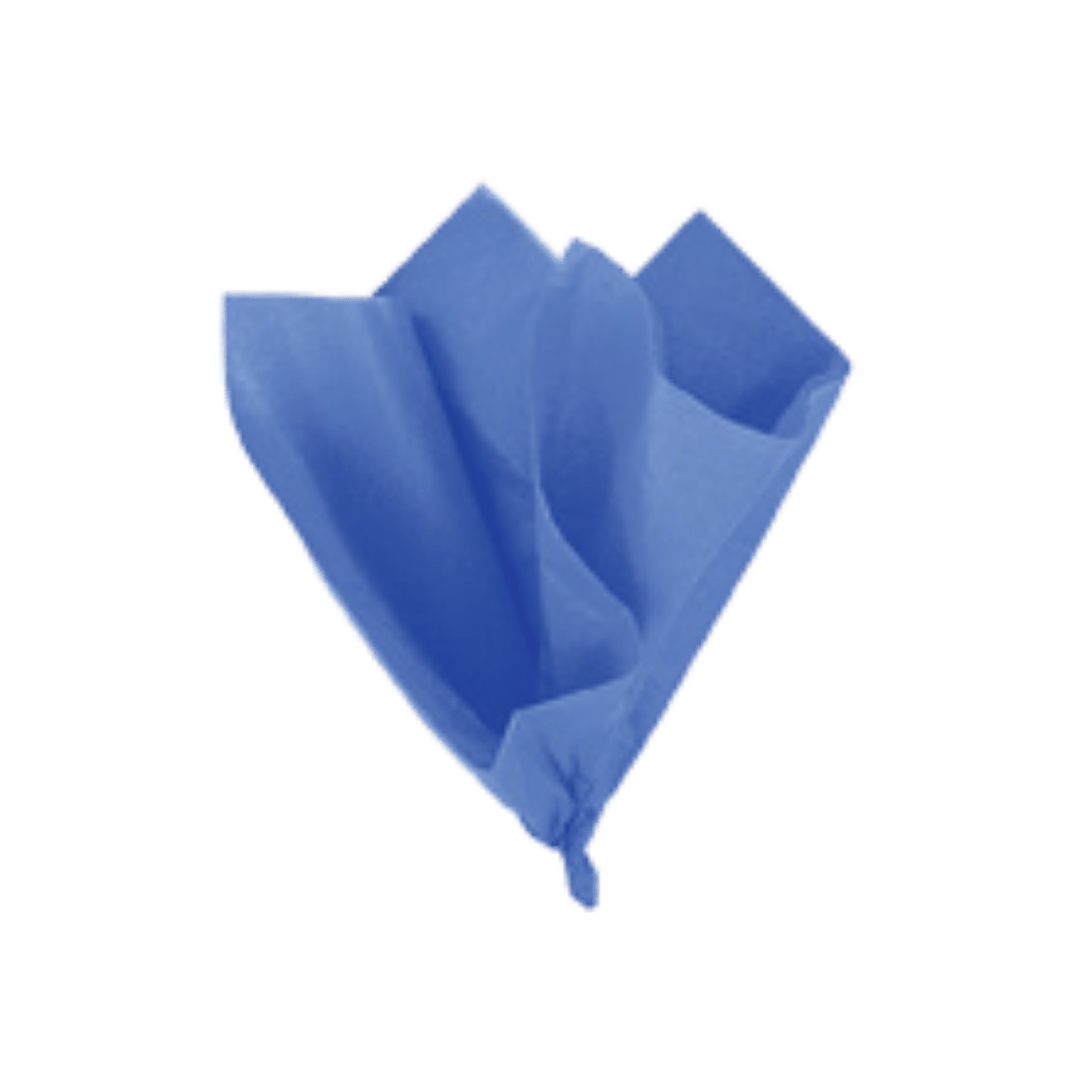 Blue napkin folded decoratively for birthday theme from Parte Haus party supply store in Bethesda Maryland