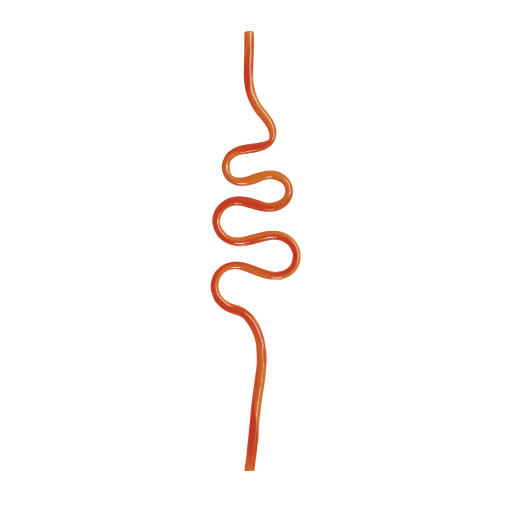 Orange crazy straw wavy shape fun drinkware from Parte Haus party supply store in Bethesda Maryland