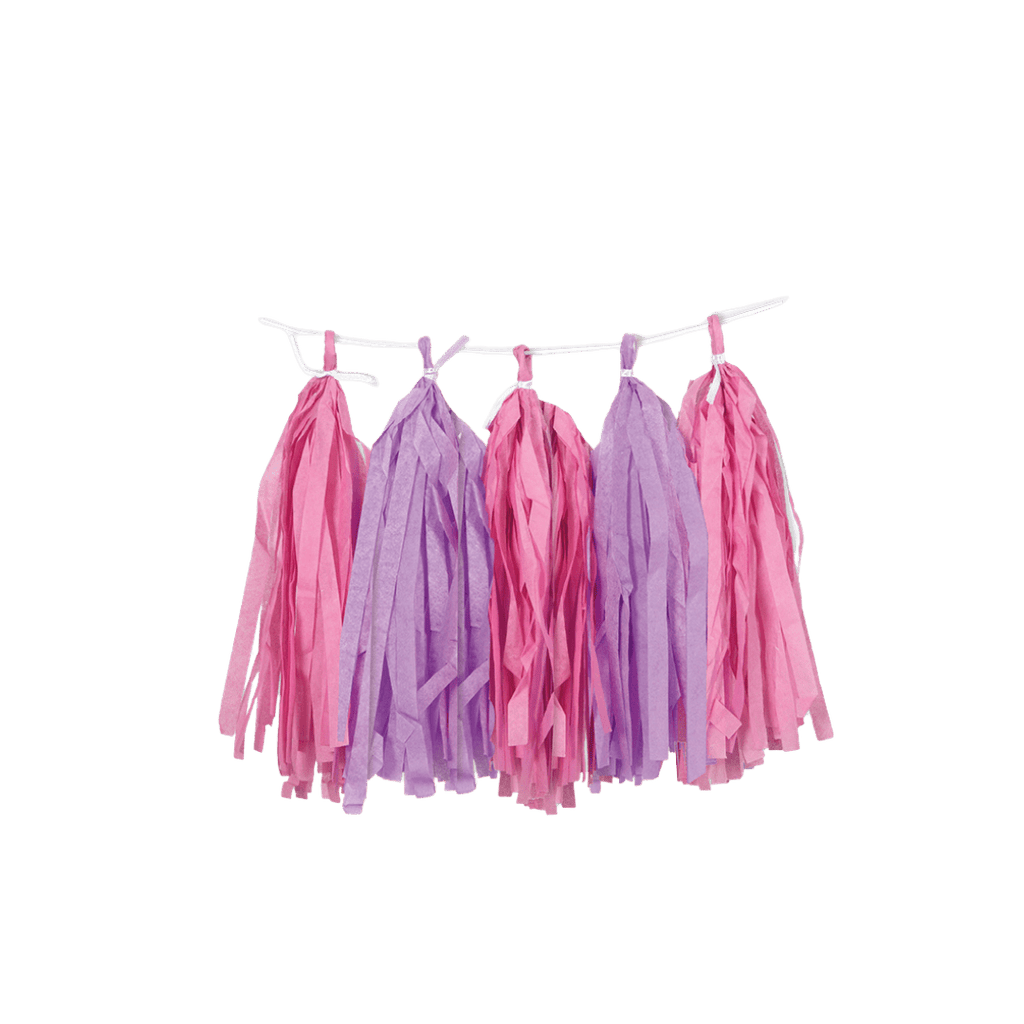 Pink and purple tassel garland pastel banner for birthday from Parte Haus party supply store in Bethesda MD.