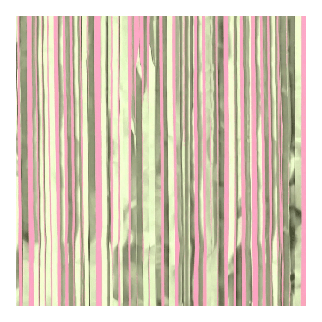 Pink and gold foil fringe backdrop birthday celebration from Parte Haus party supply store in Bethesda MD